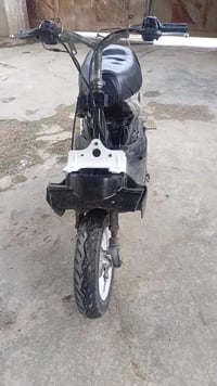 ذبانه • شغال فول • ما بيها عيب