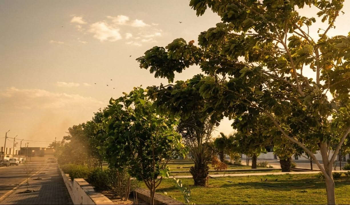 🏡 دار للرهن في مجمع النخيل السكني
📐 مساحة الدار: 200 متر ✅ 
🌳 موقع مميز أمام حديقة كبيرة كما واضح في الصورة  وقريب من البوابة.يحتوي على:
غرفتين نوم
صالة
مطبخ
حمام
استقبال
تخاريج كاملة
حديقة خارجية 
💰 سعر الرهن: 32 مليون دينار عراقي قابل للتفاوض
📞 للتواصل والاستفسار:
***********
***********
📍 فرصة مميزة للسكن في موقع هادئ ومخدوم داخل مجمع النخيل السكني. أهلاً وسهلاً بالجميع.
