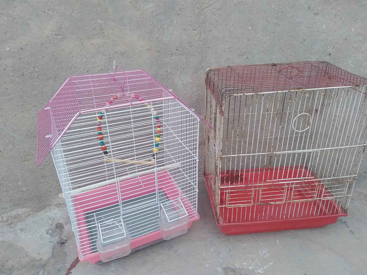 اقفاص عدد ٢ حديد ثنينهم ١٥ الف قفل مسيب ***********
