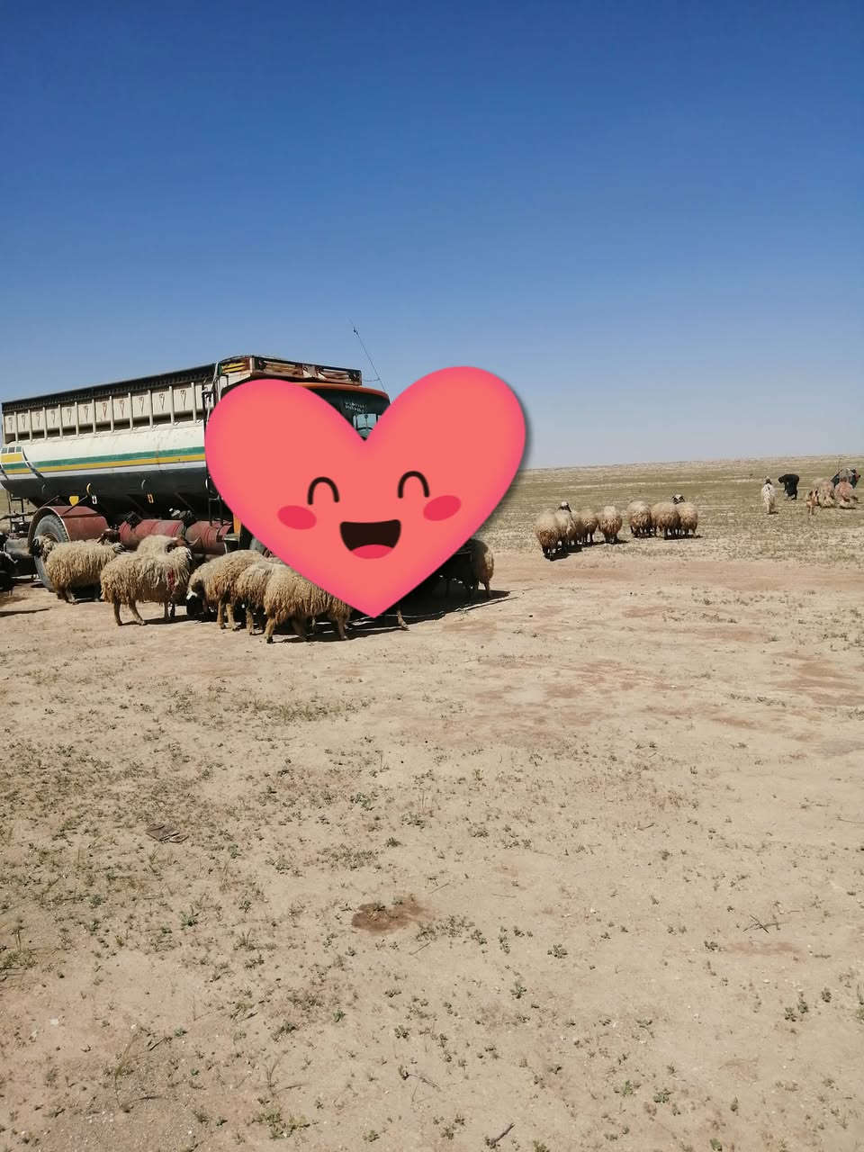 تانكي للبيع السعر 6 وبه مجان اتصال على هذا الرقم ***********
