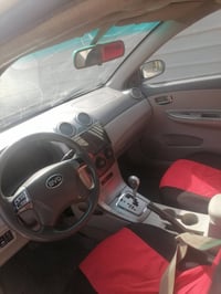 ٢٠١٣ • صبغ بني • كربلاء الحسينية