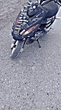 ماكس عدال فوال شلعه معتال مراوس او بيع حسب القناعه 07769177958