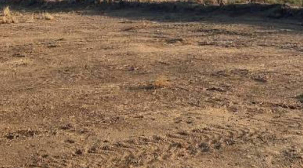 ارض زراعية للبيع مساحتها ٨٠٠م على طريق سوق الشيوخ من جهة المواكب تبعد عن الشارع العام ٧٠م مدفونة وجاهزة  خدمات ماء وكهرباء والمنطقة بيها بناء السعر والتفاصيل ***********
