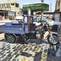 ستوته • اصوليه • مكفوله