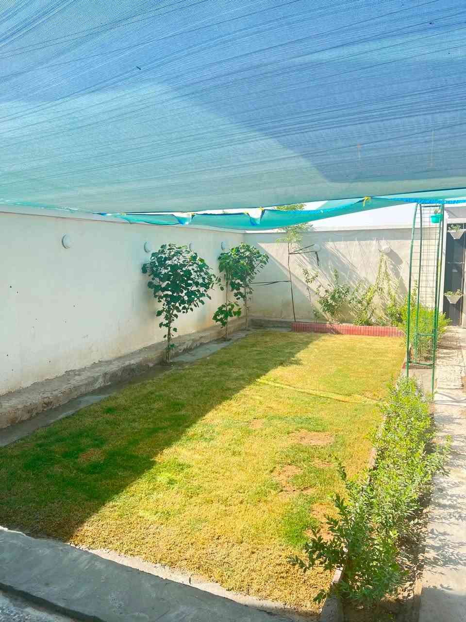السلام عليكم 
بيت للبيع مساحه ٢٠٠ متر  10 في 20
طابق واحد 
العنوان ثعالبه مقابل الشعب  
يحتوي على :
استقبال 
 غرفتين نوم 
حمام ثنين 
حولي 
وحديقه كبيره 
وكراج كبير

الاستفسار خاص أو واتساب 
***********
