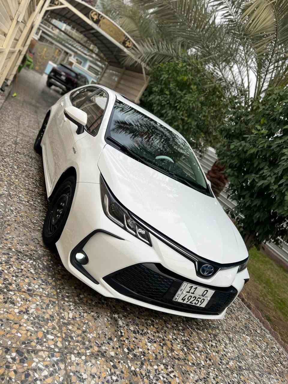 السلام عليكم من رخصه الادمن
للبيع فقط 
للبيع تويوتا كورلا هايبرد 2024
شكل الخليجي 
فول مواصفات 
بصمه 
فتحه 
كراسي جلد احمر
ارضيه مدوشمه جلد 
تحديد مسار 
شاشه جبيره 
كامره سياره جديده 
ماشيه 27 
معروفه مواصفات الفول 
بيهه بارد كد شبر وتكحيل كارت نفس مكان بل جاملغ واضح بل سونار داخل منشور مكاني بغداد الدوره 
السعر 145 وبيهه مجال قليل رقمي ***********
