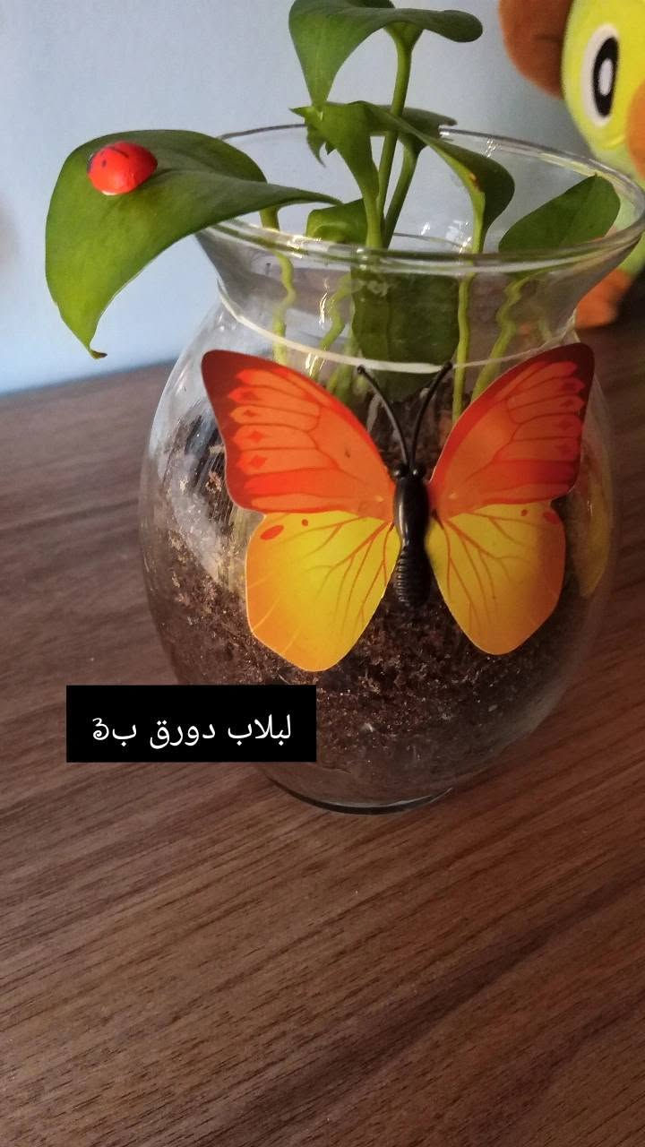 مكاني الحريه الاولى


**إذا كنت صاحب هذا الإعلان وتريد حذفه لأي سبب، رجاءا أرسل رسالة إلى الدعم الفني**