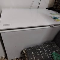 هاي المجمدات والمثرامه مال لحم للبيع الشراي يراسلني 07705949619