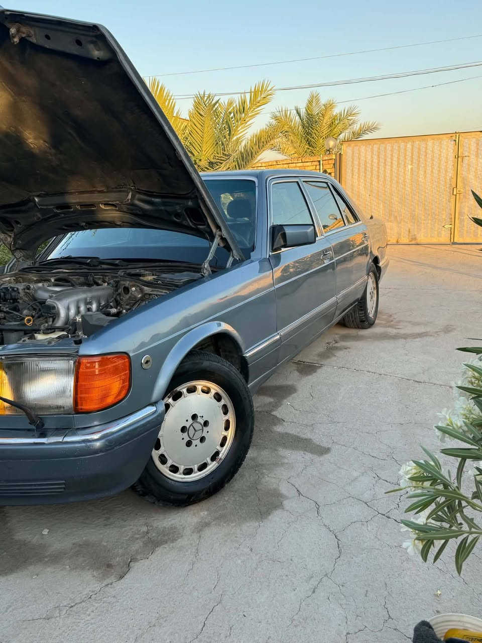 السلام عليكم
مارسيدس للبيع موديل ١٩٩١ باب طويل مكينه وكير vvt3000 فيشة وبطل أسود تبريد شغال داخل جلد أربعة جام كهرباء كشنات كهرباء أمامي خلفي كهرباء الكشن الخلفي منفصل السيارة مواصفات خليجية خاصه سنتر لوك ريمونت تخم تاير جديد حدادية جديده سيارة جاهزه ما نقصه ولا شي تحويل مباشر رقم بغداد انكليزي

السعر ٧٨ وبيها مجال

مكاني بابل قضاء القاسم عليه السلام
 للاستفسار الاتصال 
***********
