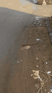 السلام عليكم 
دار في الاداره المحليه ناصرية خلف غرفة التجارة 
يتكون من ثلاث يوت 
المساحه 900متر 30*30
فقط للبيع ممكن تسلم قطعة فارغه
***********
***********
يعني هذا البيت  أيضا يسلم قطعه فارغه
توجد لدينا بيت ركن مقابل الزراعه مساحة 370متر
ايضا يوجد بنفس المنطقه 700متر 
وكل هذه القطع والبيوت على الشارع العام 
وتوجد لدينا بيوت في الاداره المحليه حسب الطلب
وبمساحات متنوعه
