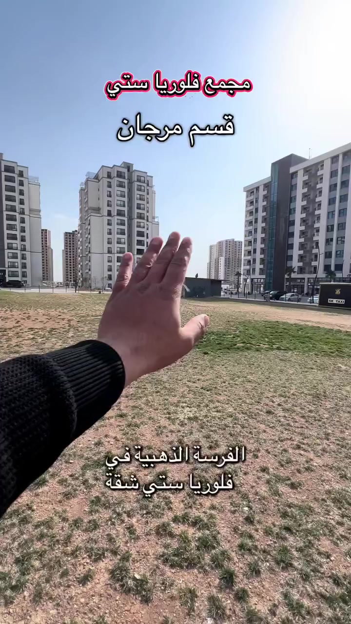 الاستفسار
***********
***********
