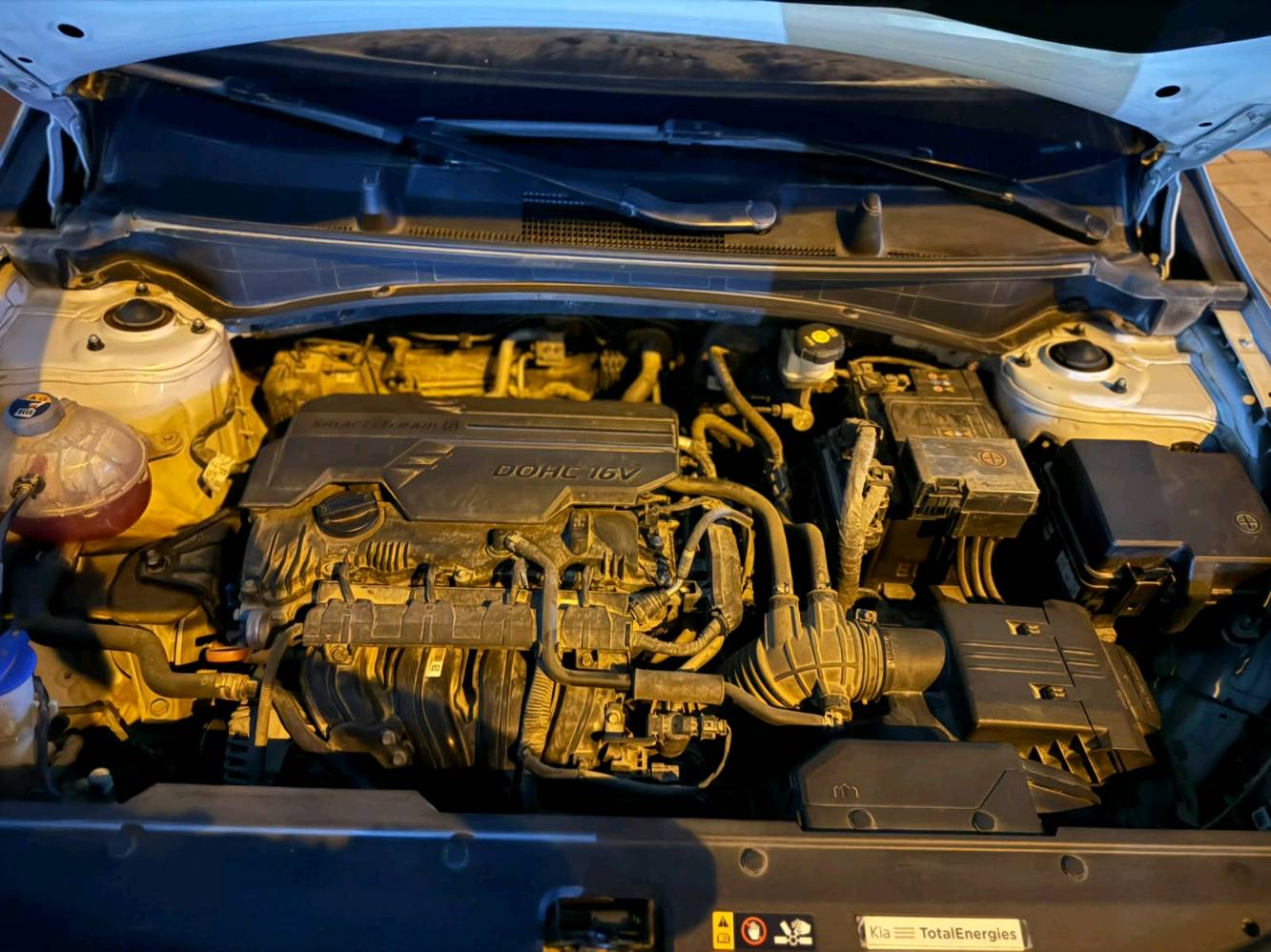 للبيع | كيا سبورتاج 2023 خليجي
🔹 موديل: 2023
🔹 محرك: 2000 CC DOHC
🔹 الممشى: 56000 كم فقط
🔹 رقم بغداد الجديد
المواصفات: ✅ بصمة تشغيل وبصمة أبواب
✅ تشغيل عن بعد
✅ شاشة وسطية طويلة
✅ أنظمة مساعدة على القيادة
✅ تحكم من المقود (ستيرن)
✅ شيفترات تبديل السرعة
✅ إشارات بالمرايا
✅ هند بريك إلكتروني (بصمة)
✅ حساسات أمامية وخلفية
✅ مقعد السائق كهربائي
✅ تدفئة المقاعد
✅ كروز كنترول (مثبت سرعة)
✅ زينون + LED نهاري (شكل X)
✅ أضواء خلفية LED
✅ إضاءة ترحيبية
🔹 السيارة نظيفة جدًا من الداخل والخارج، والمحرك والكير والشاصي بحالة ممتازة. 🔹 يوجد حادث أمامي سابق وتم إصلاحه باحتراف، وتقرير الفحص متوفر

رقم الهاتف / ***********
المكان بغداد / حي حطين 