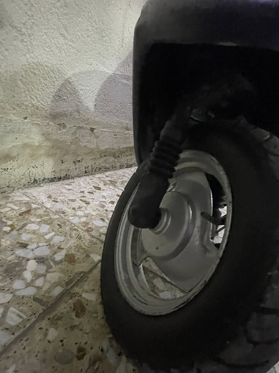 سلام عليكم بيجي 60 البيع دراجه جديده ما ناقصه اي شي سعر خاص
***********
• تعديل
