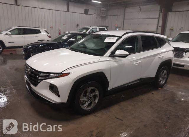 السلام عليكم 
للبيع فقط 
هيونداي توسان امريكي كلين ضربته بالصور راجع جاملغ بارد بدون صبغ السيارة مكفولة ما عدا جتف الدعامية رصاصي مصبوغ ابيض فقط هذا لي بيها أستيراد على ايدي رقمها بغداد بأسمي موديل ٢٠٢٣ السيارة فور ويل htrak نظام نزول منحدرات 
دفلوك هاند برك بصمة تدفئة بالكشنات عرض كاميرا خلفي اوتو هولد و اتو ستار محرك ٢٥٠٠ 
هوك خلفي بلادي نقاط عمياء 
توقف ذاتي امامي و خلفي 
نظام تنبيه ⚠️ الباب عند فتح 
فول رادار خروج عن مسار و تتبع 
وتوقف وقيادة ذاتية كروز سرعة 
شاشة ٩ انج فول كار بلي واندرويد اوتو شاحن واير لايس 
صندوك كهرباء و فتح 🔑 عن بعد و تشغيل عن بعد و بصمة حديثة تفتح كارت وتليفون وبصمة نظام ترحيب مع انارة  باليدات فول Led وبعد بيها مواصفات 
السيارة كلش حلو مكفولة كير و محرك وشاصي ومن صبغ ايرباك بردة فقط 
نظيفة كلش واستخدام قليل على ايدي من امريكا 
مكانها بغداد 
ماشية ٣٣ الف ميل 
سعرها ب٢١٠ ورقة 
***********
