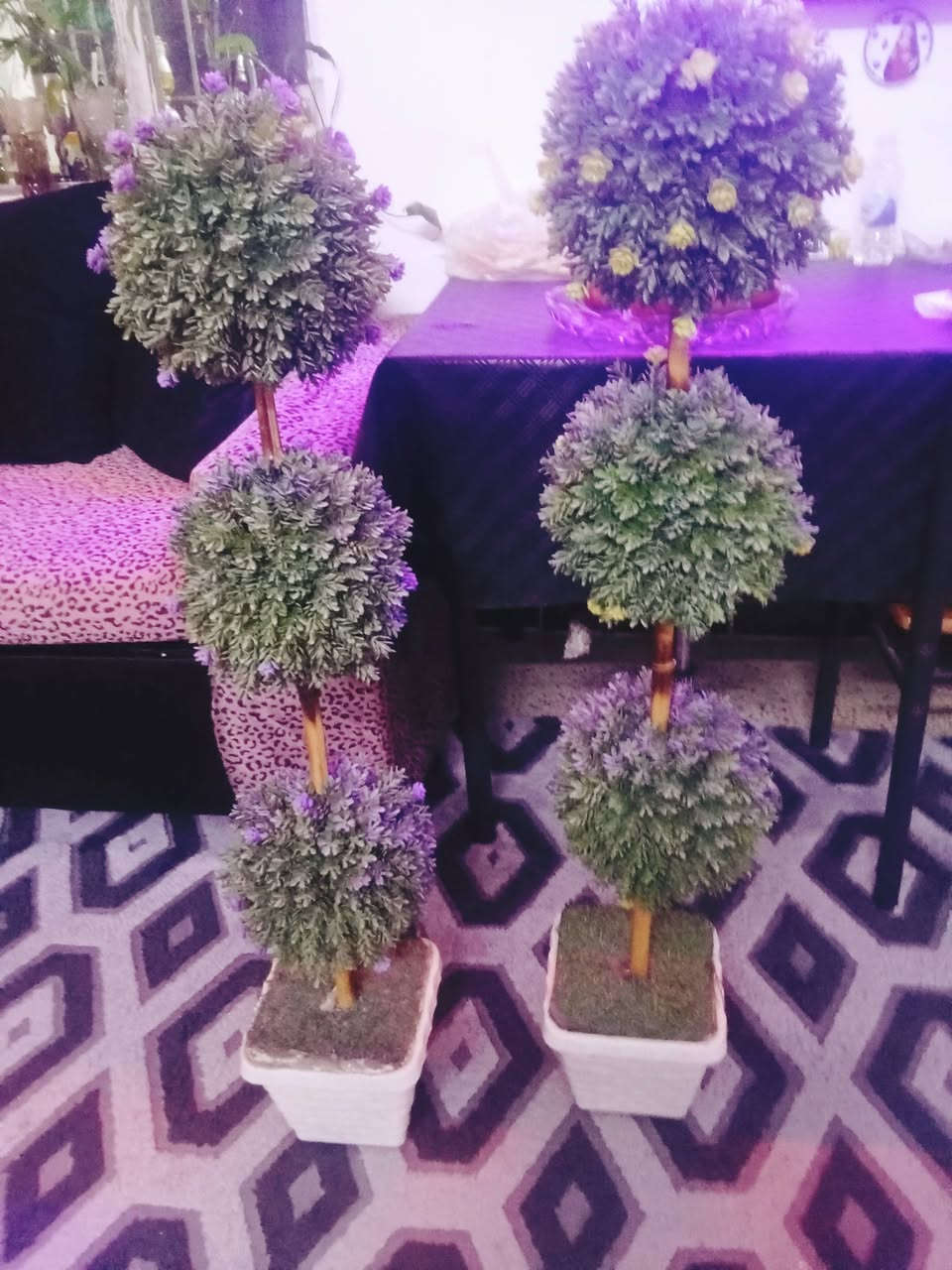 السلام عليكم اشجار اثنين الوحد 10 اثنين 20


**إذا كنت صاحب هذا الإعلان وتريد حذفه لأي سبب، رجاءا أرسل رسالة إلى الدعم الفني**