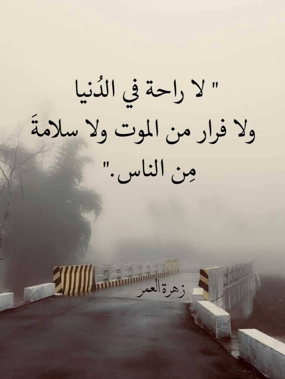 للبيع هيكل طابق واحد وبيتونه المساحه 250 متر مربع واجهه 12.500 ونزال 20 متر يحتوي غرفتين وخطار ومطبخ وهول الاساس رباط مسلح السعر 42 وبي مجال الموقع قرب القطاع الصحي والبناء موديل حديث الاتصال عالخاص او الرقم
.***********

