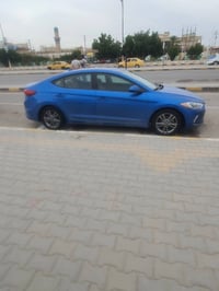 النترا ٢٠١٨ • وارد أمريكي • كفالة عامة