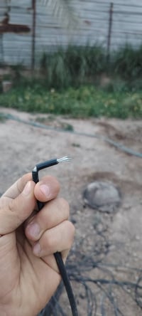 بيش يسون