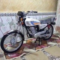 دراجة • أوراق • بصرة