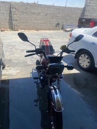 زنجيل ٢٦ • ماروني • ماشي ٢٢كيلو