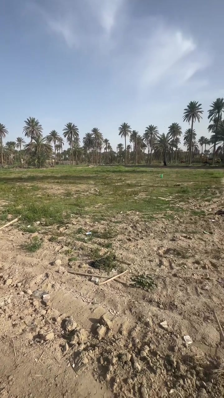 دونم و 500 م بالسند دونم وجه 60 م حلو مال سكن مخدوم مي وكهرباء وتبليط وسكن بصفه ومسيج نهاية نادر خلف معمل الغاز
***********
***********
