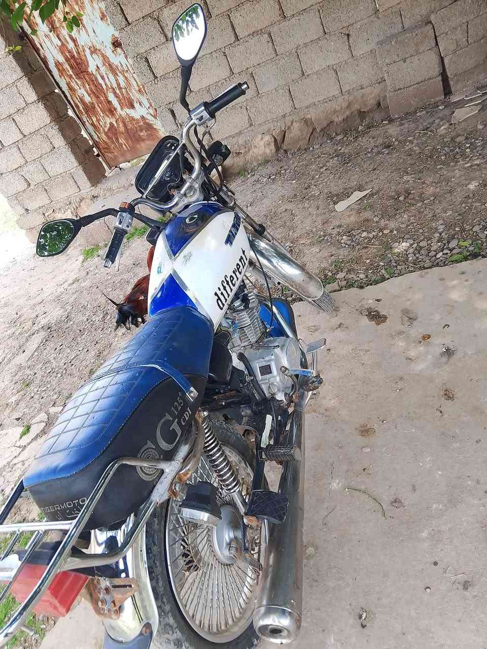 السلام عليكم تايجر 20 للبيع شرط اندر واحد ما ابي اي عيب سعر 380 وبي مجال شيء قليل المو شراي لا تبزعني ولا بزعلك 👍


**إذا كنت صاحب هذا الإعلان وتريد حذفه لأي سبب، رجاءا أرسل رسالة إلى الدعم الفني**