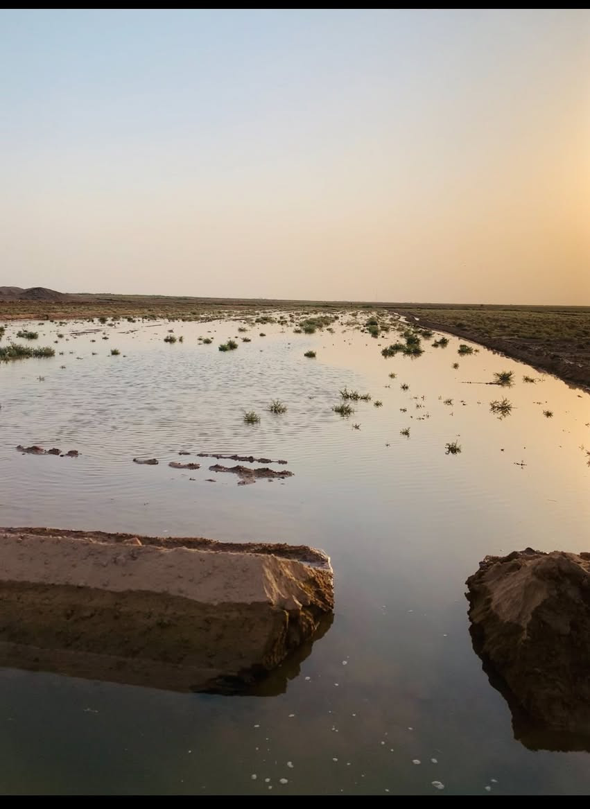 معدلان ليزر القياس مترين ونص الالجهاز شركه الكاطع الستفسار الاتصال على الرقم ***********
