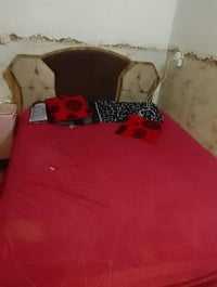 جربايه • نضيفه • ثعالبه
