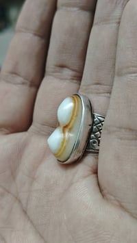 سليماني • للبيع • قابل للتفاوض