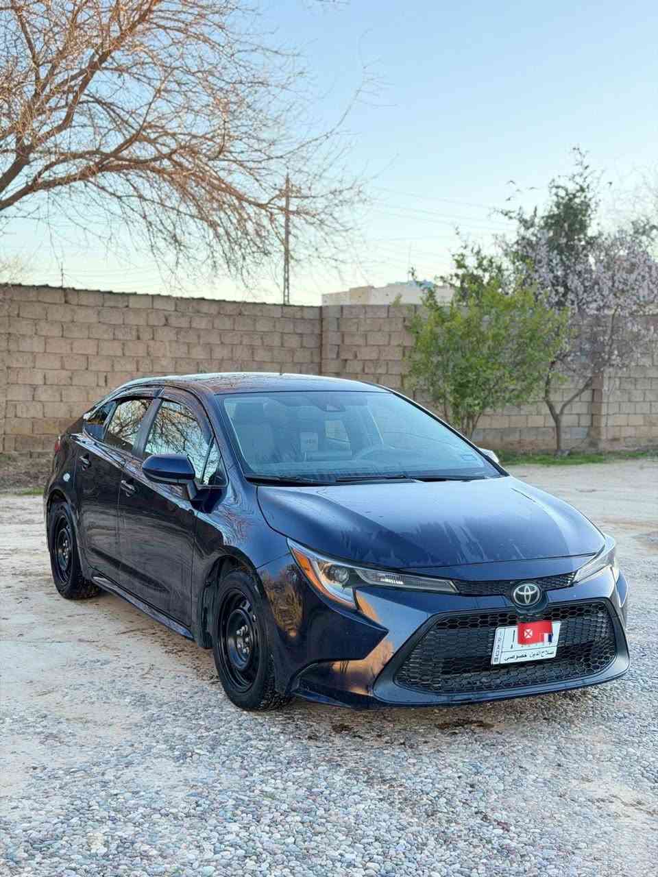 كورلا موديل 2020 امريكي Le
مـاشيه 60 ميل
رقم صلاح الدين الماني
كير ومحرك شرط سياره جاهزه 
الضرر موضح بالسونار 
للبيع او المراوس حسب القناعة
$136

***********
