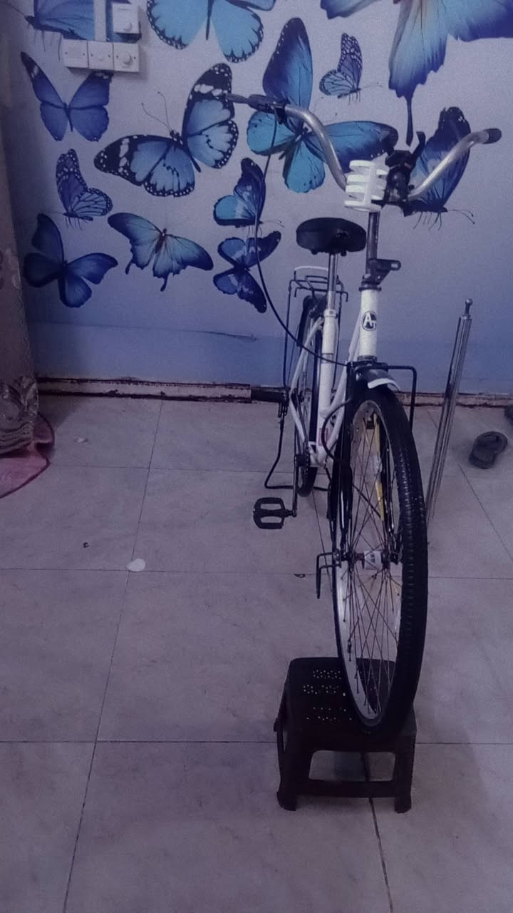 باسكل بناتي حجم 26 الاستفسار ***********موجود فقط واتساب
