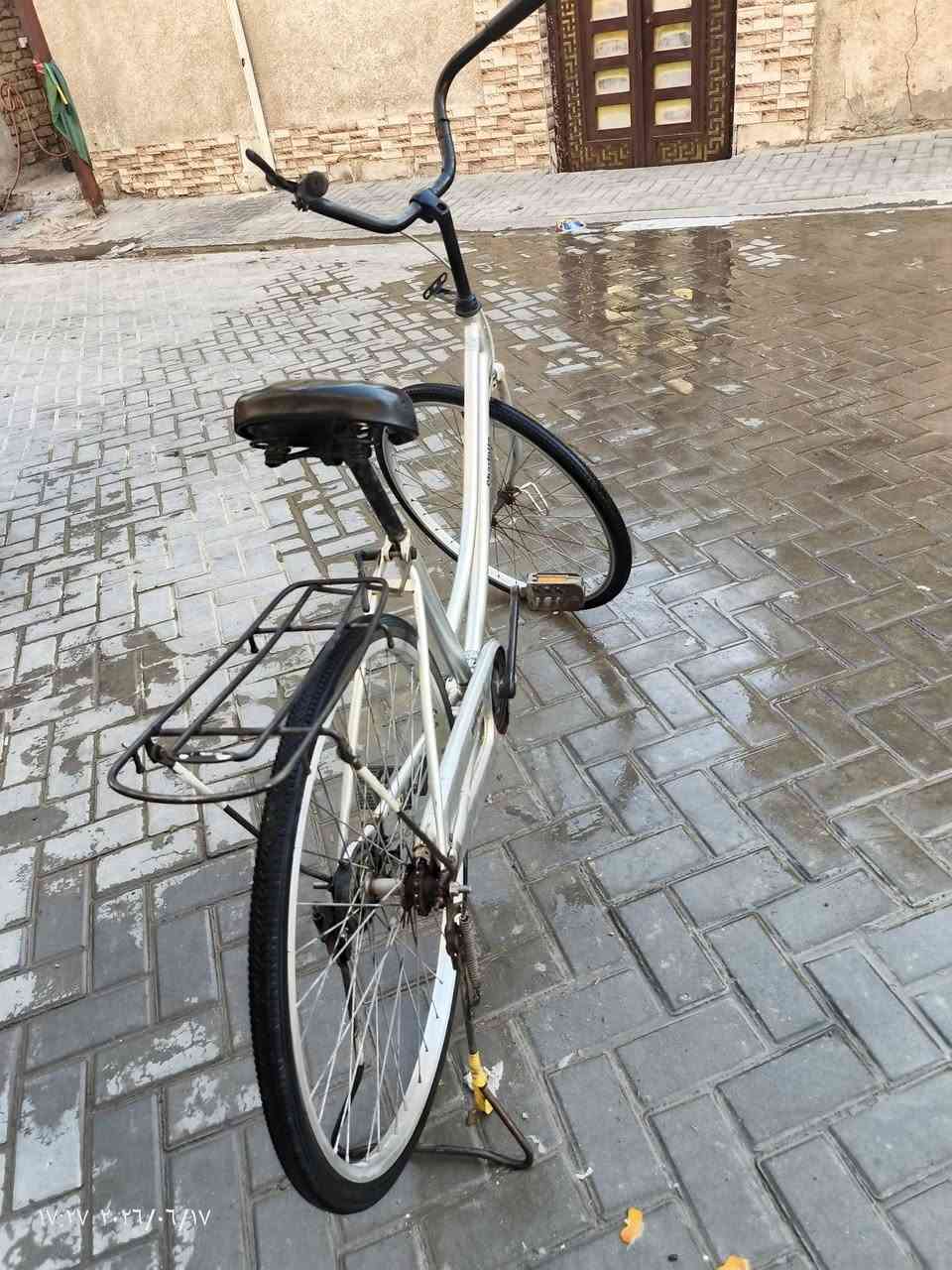 السلام عليكم من رخصه الأدمن عندي باسكل بطه للبيع حجم 26لون رصاصي الجاملغات وبريك امامي موجودات المكان الامين شارع الارامل السعر مناسب والسعر خاص او على الرقم ***********

