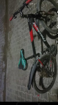 باسكل • الحريه