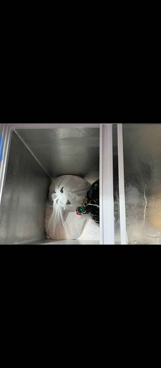 مجمدة اخت جديده شرط تجميد على فحص النجف, العراق


**إذا كنت صاحب هذا الإعلان وتريد حذفه لأي سبب، رجاءا أرسل رسالة إلى الدعم الفني**