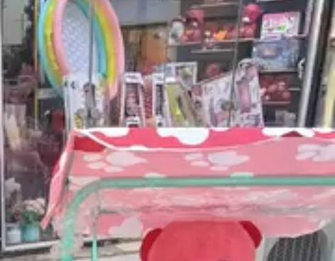 مرجوحه أطفال للبيع مثل ما موضحه بل الصوره ويها سقفيه جديده قفل قفل بـ٢٠ ألف عنوان حي العسكري ما عندي توصيل


**إذا كنت صاحب هذا الإعلان وتريد حذفه لأي سبب، رجاءا أرسل رسالة إلى الدعم الفني**