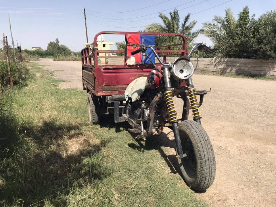 ستوتة للبيع شهربان سعر ٤٥٠ وبيه مجال ***********
