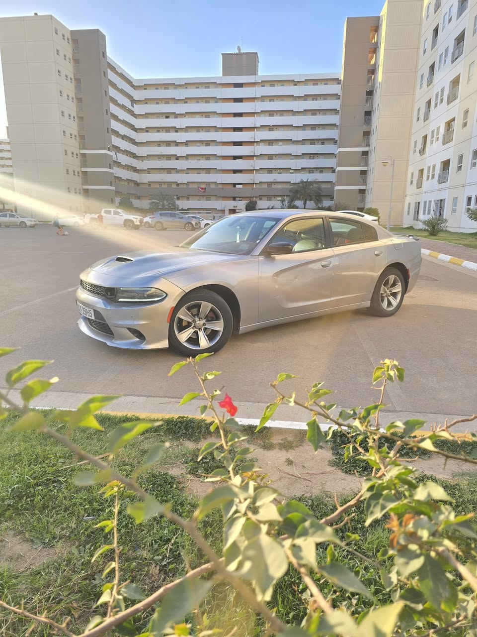 تحيه طيبه..
جارجر وارد أمريكي موديل ١٨
سنويه وهزه ورقم جديد تقرأ ١٨ بأسمي اكو ولد شافها كال هاي معلايه المهم اني ما اعرف بيها على اساس ١٥
سياره كير مكينه مكفولات 
٦ سلندر sxt تو ويل
ماشيه ١٥٤
تخم تاير جديد صدر أمامي خلفي جديد 
بدون لا شواصي ولا لغود شرط الفحص
حدثها والسونار بالصور
عنوان بغداد بسماية 
السعر ١٥٠ شراي يتصل 
اني مكلف بالنشر 
***********
