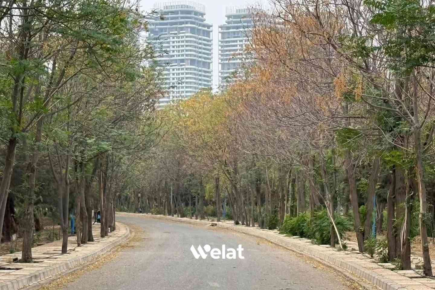 (شركة النوارس)
لنقل المسافرين الى جميع المحافظات العراق من الجنوب الى الشمال والبريد السريع ولامانات وبالعكس باحدث السيارات المكيفة مزودة بالانترنت ع طول السفر من الباب إلى الباب وبخدمتكم للحجز والاستفسار يرجى الاتصال بنا ***********
***********
