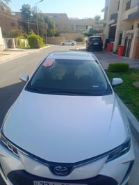 كورلا ٢٠٢٤ • خليجي زيرو • رقم أربيل