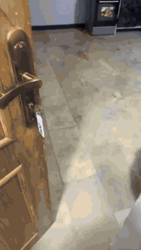 شقق مؤثثه VIPللإيجار الشهري مع خدمه نت وكهرباء مستمر/المنصور 14رمضان للاستفسار/***********/***********
