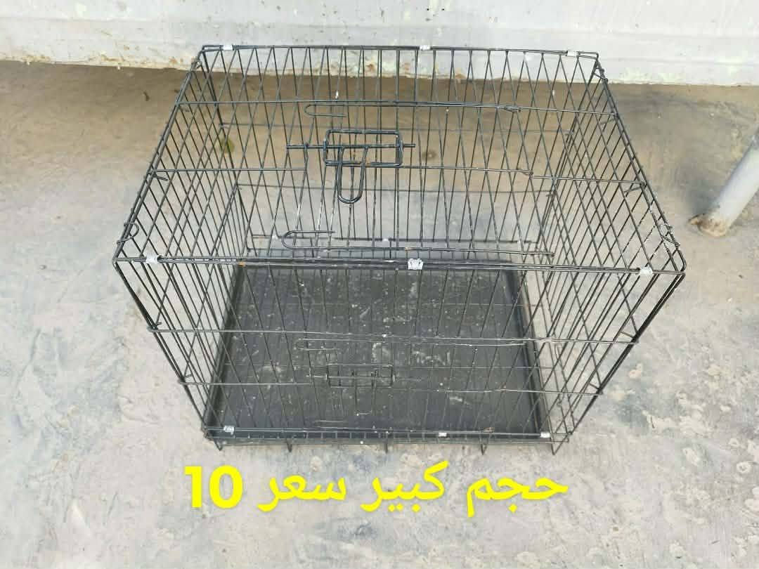 اقفاص كلهن نظيفات لسعر بل صور   وذا واحد ياخذهن شلع بيهن مجال بل سعر المكان فلوجة الازركيه    

***********

***********
