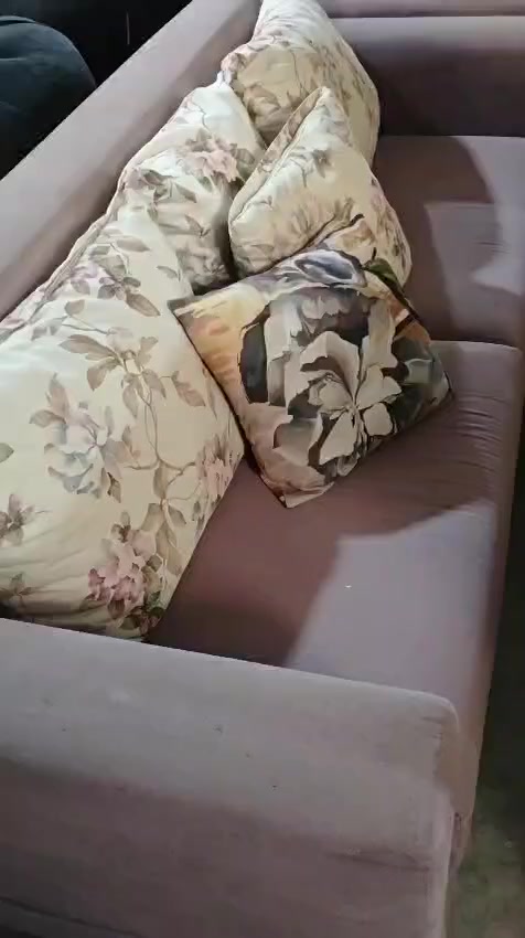 السلام عليكم ورحمه الله وصل تخم تركي  نظافه فول موجودة سعر مناسب للاستفسار واتساب *********** تفاصيل اكثر داخل الفيديو
