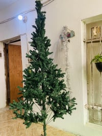 للبيع شجره راس السنه طولها 2 ونص والقاعده حديد ب40 الف 07709449240