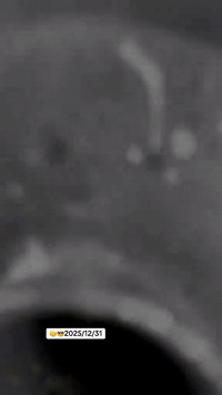 دراجة نامة 2022. 07709401199