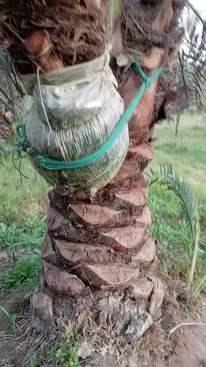 السلام عليكم اخوان للاستفسار الاتصال على الرقم   ***********
