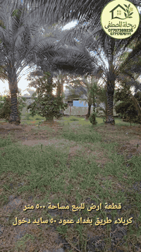 كربلاء عمود ٥٠ • ٥٠٠م • طابو زراعي سند ٢٥