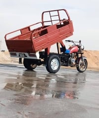 ستوته • مديل ١٠ • ابيض