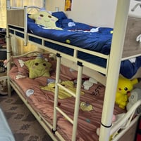 سرير طابقين • جديد • دواشك بالكيس