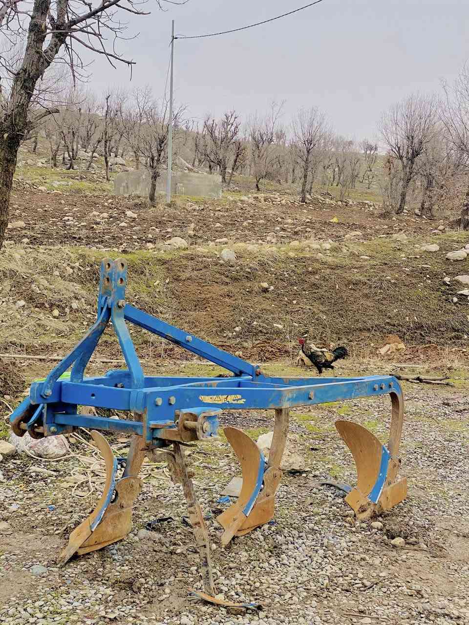 گاسنی١٤ فاو بۆ فرۆشتن
دمک و موسەکانی نوێن
0751 147 1878
0750 467 8720
