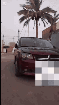 دودج كرفان • ٢٠١٩ • محرك ٣٦٠٠